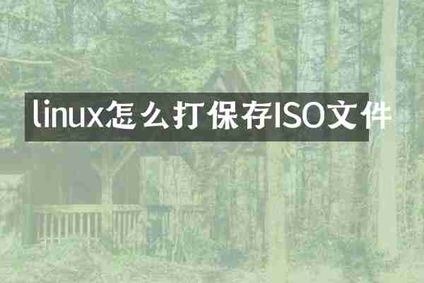 linux怎么打保存ISO文件