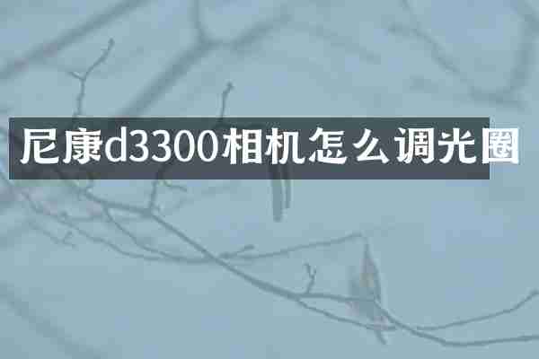 尼康d3300相机怎么调光圈