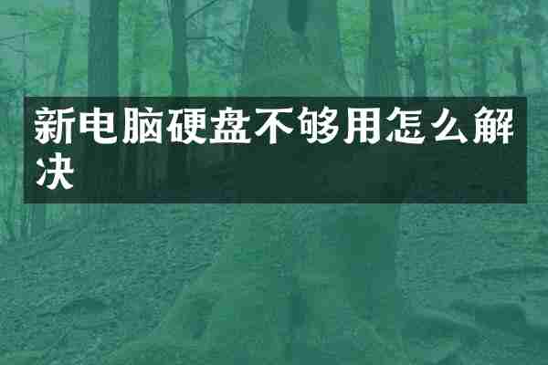 新电脑硬盘不够用怎么解决