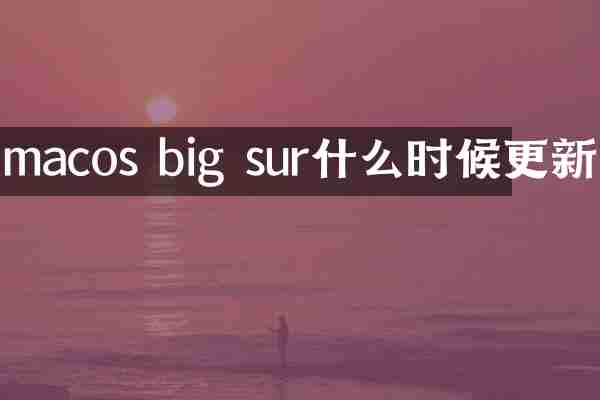 macos big sur什么时候更新
