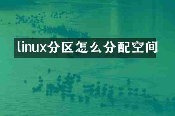 linux分区怎么分配空间
