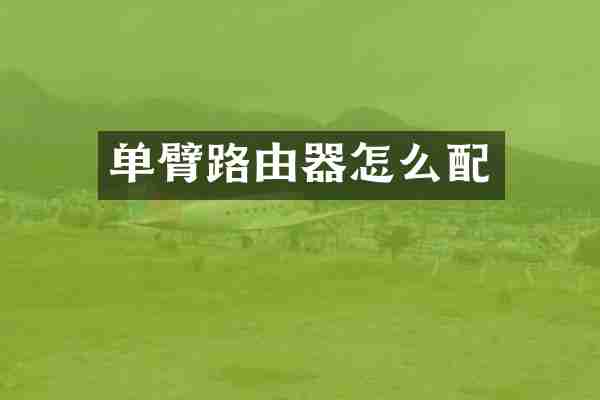 单臂路由器怎么配