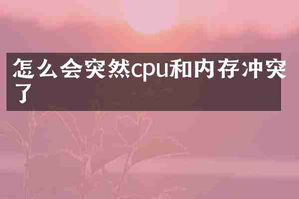怎么会突然cpu和内存冲突了