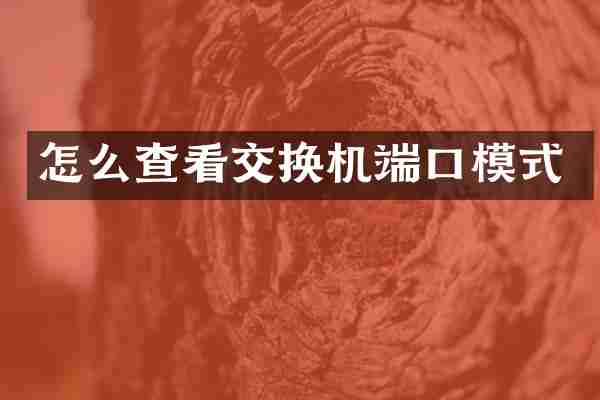 怎么查看交换机端口模式