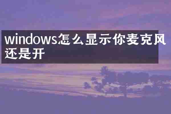 windows怎么显示你麦克风关还是开