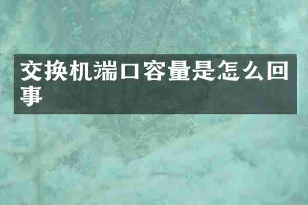 交换机端口容量是怎么回事