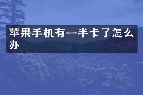 苹果手机有一半卡了怎么办