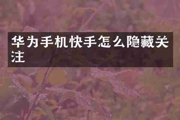 华为手机快手怎么隐藏关注