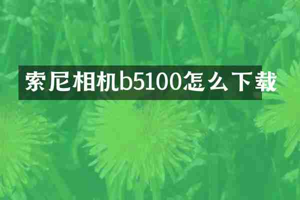 索尼相机b5100怎么下载