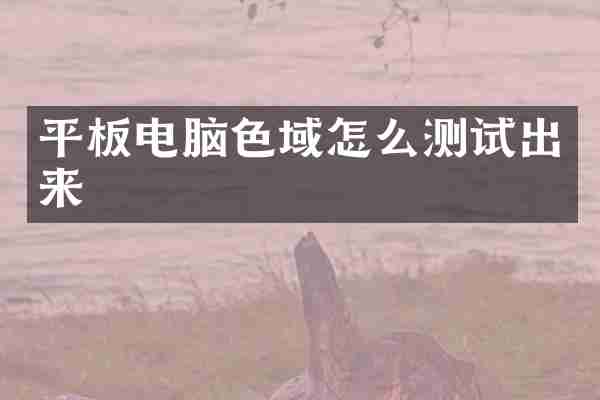 平板电脑色域怎么测试出来
