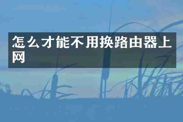 怎么才能不用换路由器上网