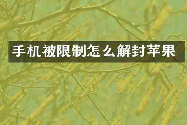 手机被限制怎么解封苹果