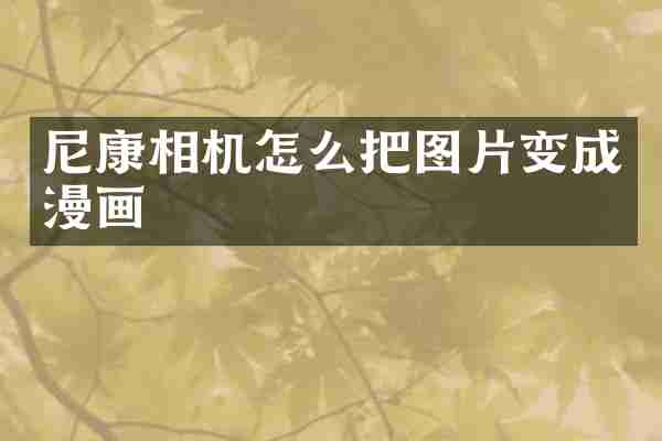 尼康相机怎么把图片变成漫画