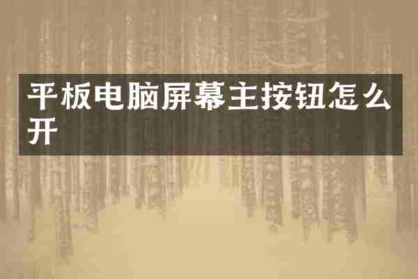 平板电脑屏幕主按钮怎么开
