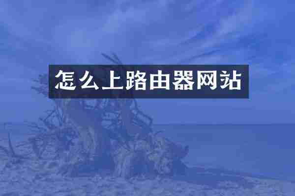 怎么上路由器网站