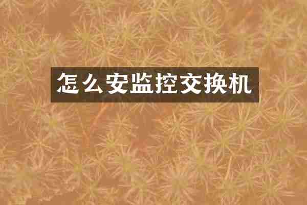 怎么安监控交换机