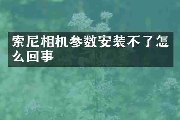 索尼相机参数安装不了怎么回事