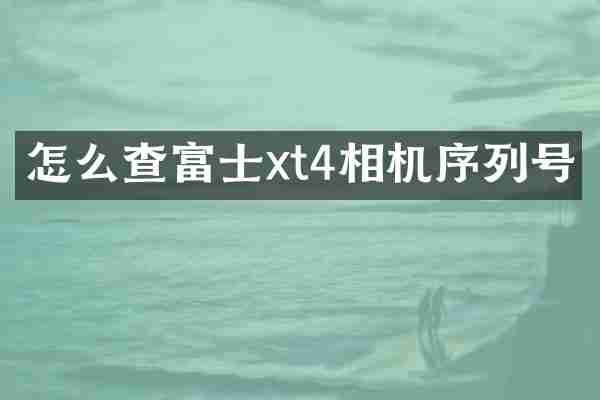 怎么查富士xt4相机序列号