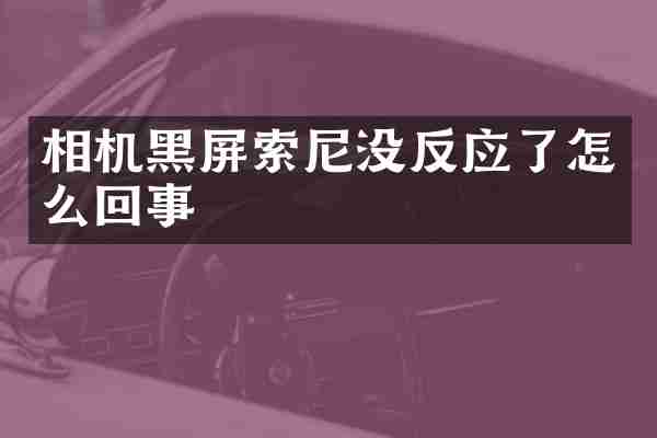 相机黑屏索尼没反应了怎么回事