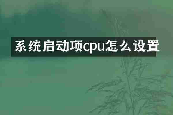 系统启动项cpu怎么设置