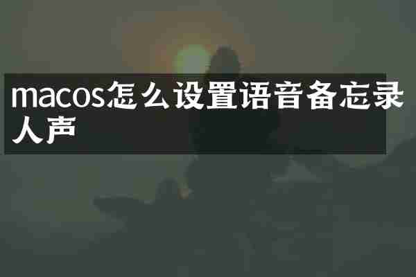 macos怎么设置语音备忘录的人声