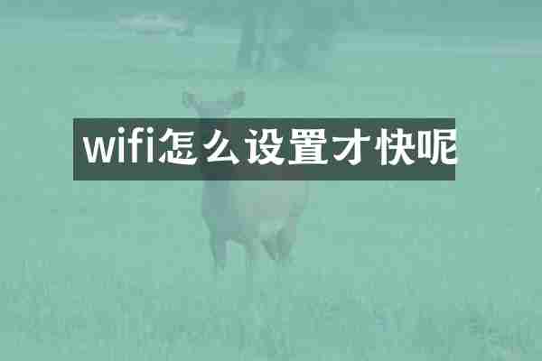 wifi怎么设置才快呢