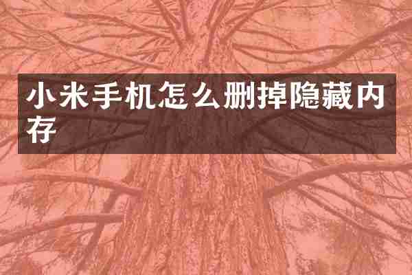 小米手机怎么删掉隐藏内存