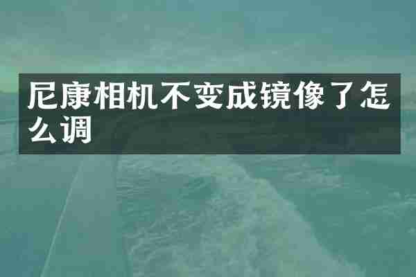 尼康相机不变成镜像了怎么调