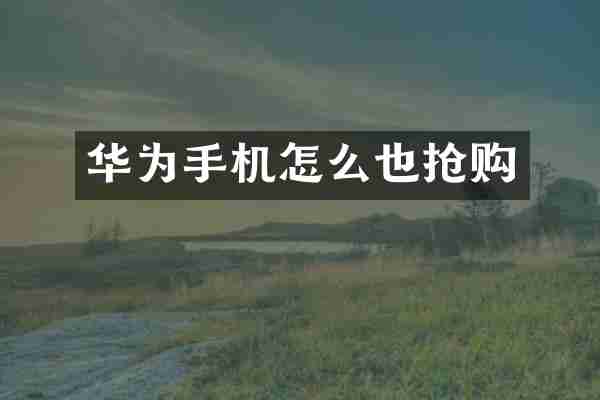 华为手机怎么也抢购