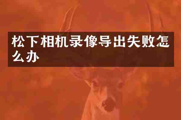 松下相机录像导出失败怎么办