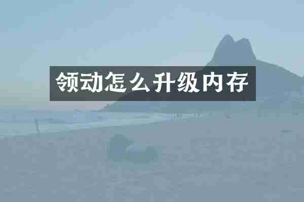 领动怎么升级内存