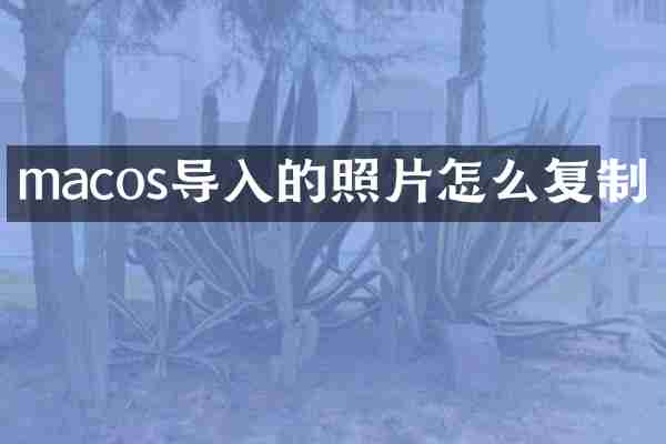 macos导入的照片怎么复制