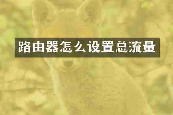 路由器怎么设置总流量
