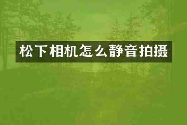 相机怎么静音拍摄