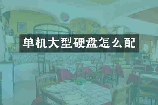 单机大型硬盘怎么配