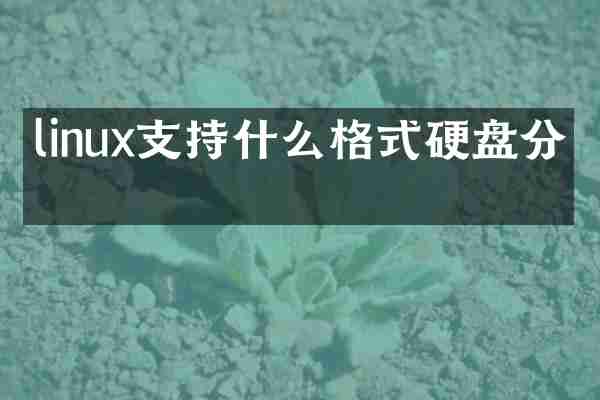 linux支持什么格式硬盘分区