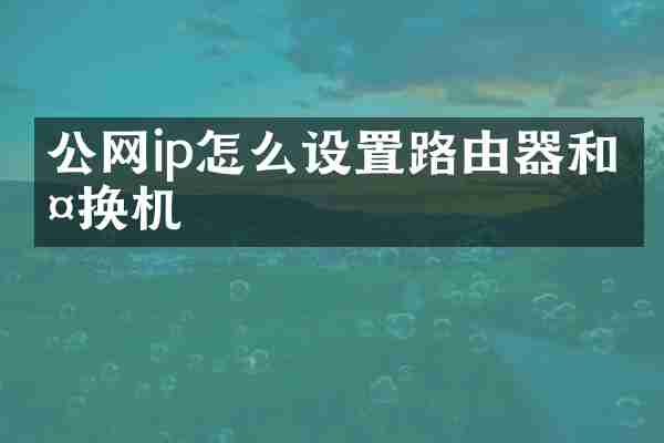 公网ip怎么设置路由器和交换机
