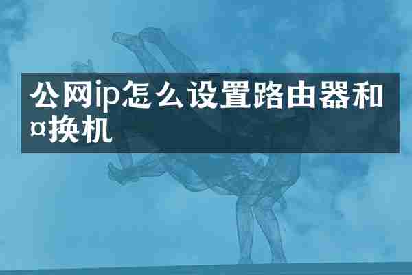 公网ip怎么设置路由器和交换机