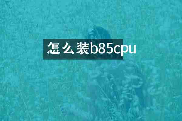 怎么装b85cpu