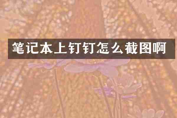 笔记本上钉钉怎么截图啊