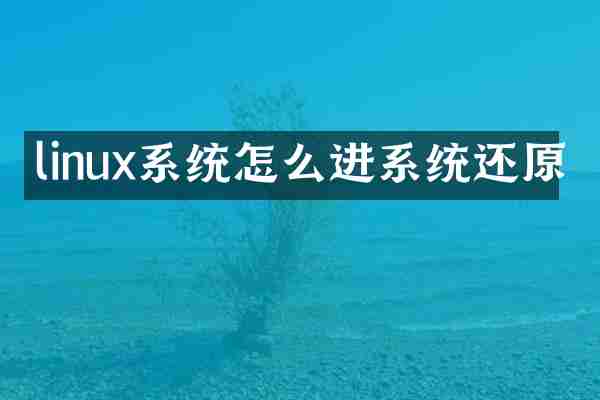 linux系统怎么进系统还原