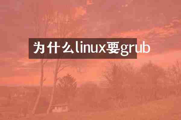 为什么linux要grub