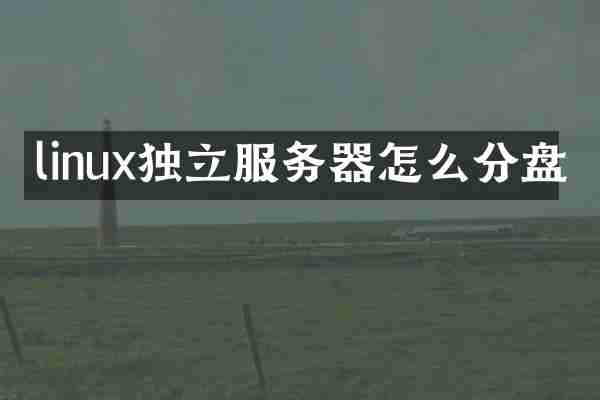 linux独立服务器怎么分盘