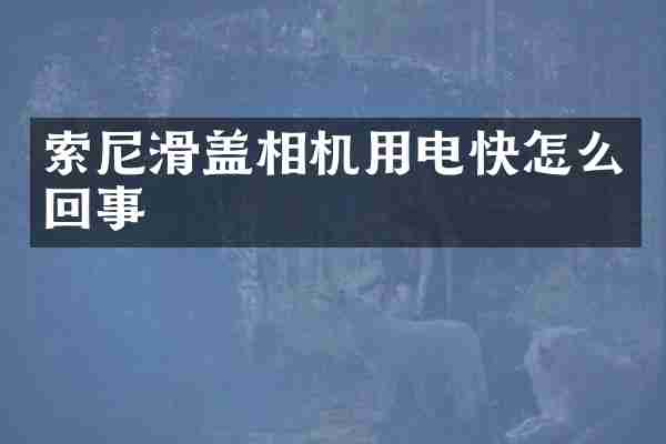 滑盖相机用电快怎么回事