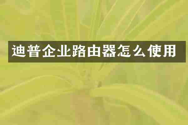 迪普企业路由器怎么使用