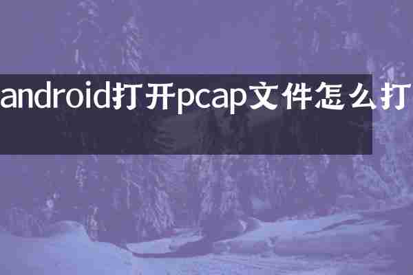 android打开pcap文件怎么打开