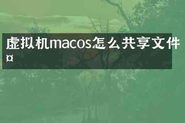 虚拟机macos怎么共享文件夹