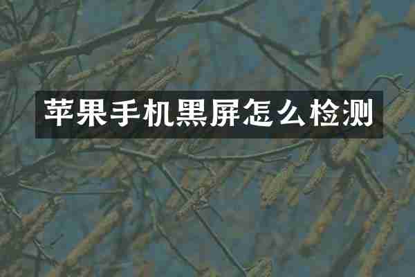 苹果手机黑屏怎么检测