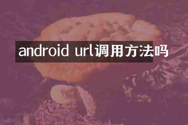 android url调用方法吗