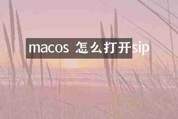 macos 怎么打开sip